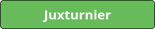 Juxturnier